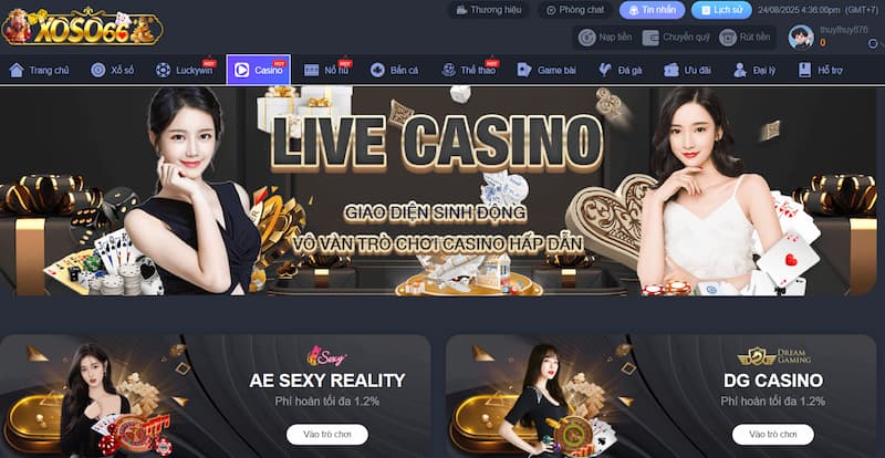 Trang chủ 46 Sòng bạc đẳng cấp,