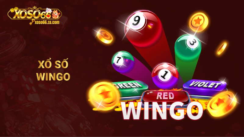 Xổ số Wingo XOSO66: Trải nghiệm kèo cược tốc độ 1 xổ số Wingo